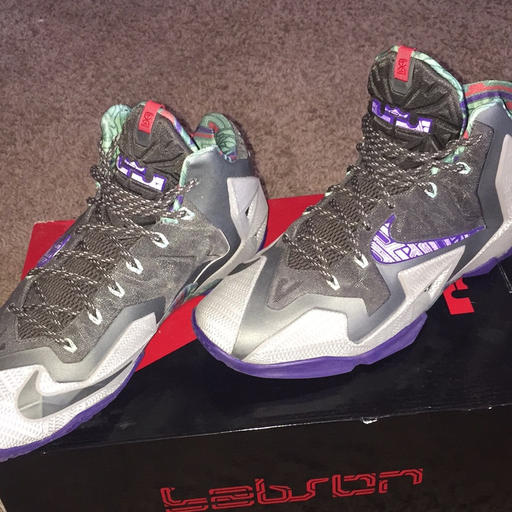 Men’s size 10.5 Lebron 11 shoes